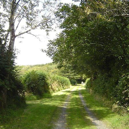 Holdstrong Farmhouse Lydford Bagian luar foto