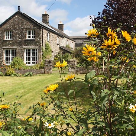 Holdstrong Farmhouse Lydford Bagian luar foto