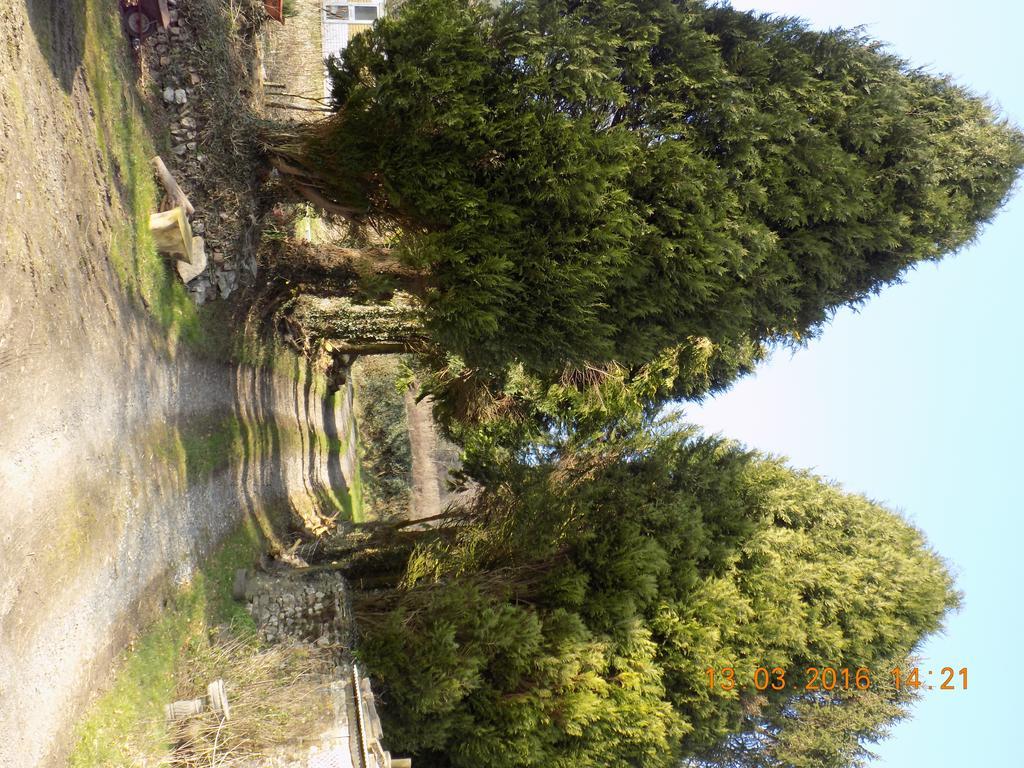 Holdstrong Farmhouse Lydford Bagian luar foto
